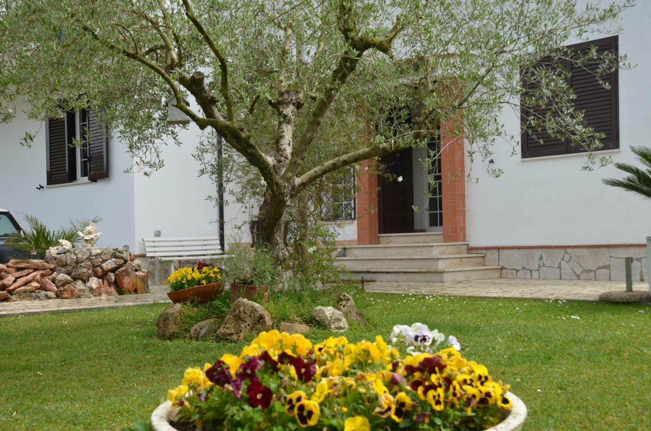 Il Grifo Hotel Sabaudia Exterior photo